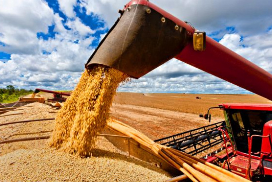 Bahia tem safra recorde de grãos em 2020
